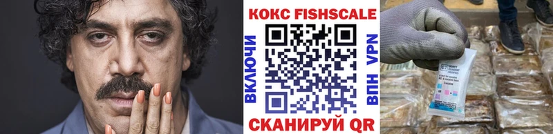 блэк спрут зеркало Жуков Cocaine Fish Scale
