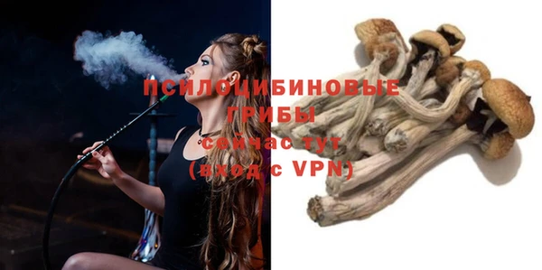 метамфетамин Белокуриха