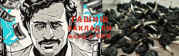метамфетамин Белокуриха