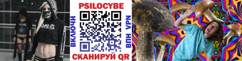 Псилоцибиновые грибы прущие грибы  Жуков 